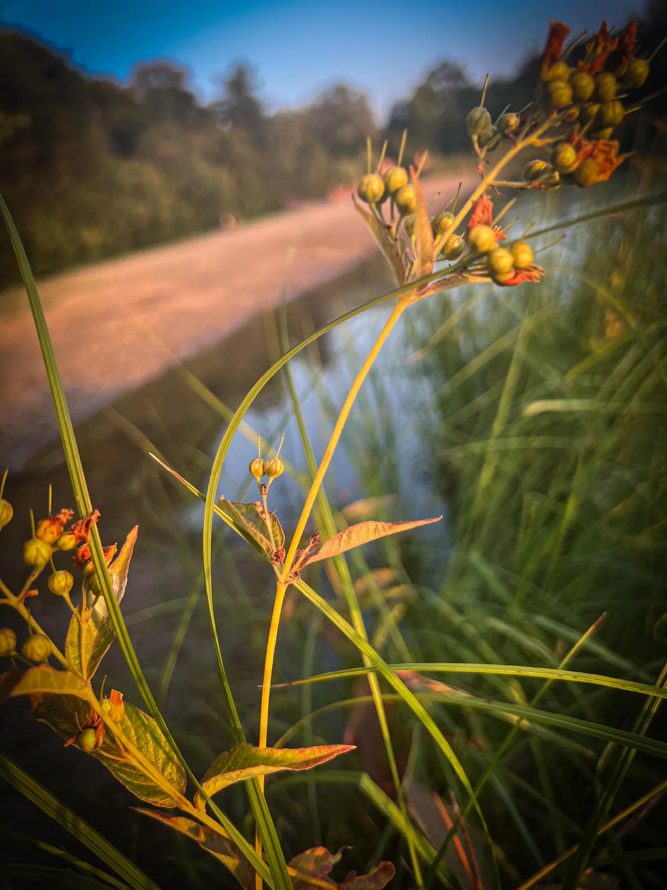 Wasser und Natur