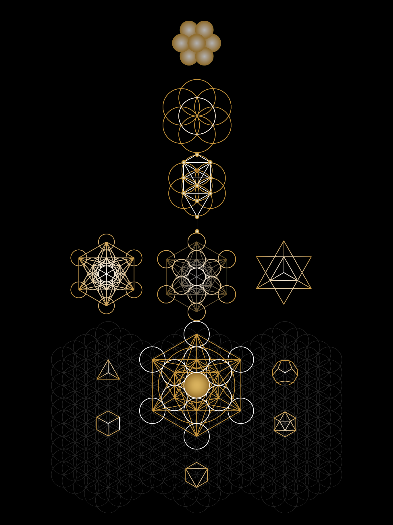 Die heilige Geometrie